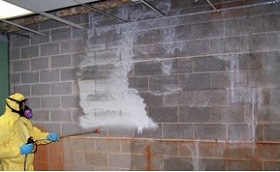 removing mould from concrete